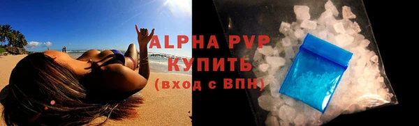 прущие крисы Гусев