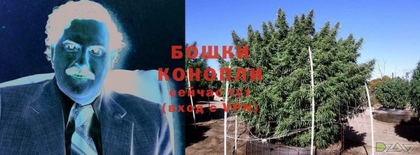 Альфа ПВП Гусиноозёрск