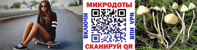 Галлюциногенные грибы Magic Shrooms  сколько стоит  Жирновск 